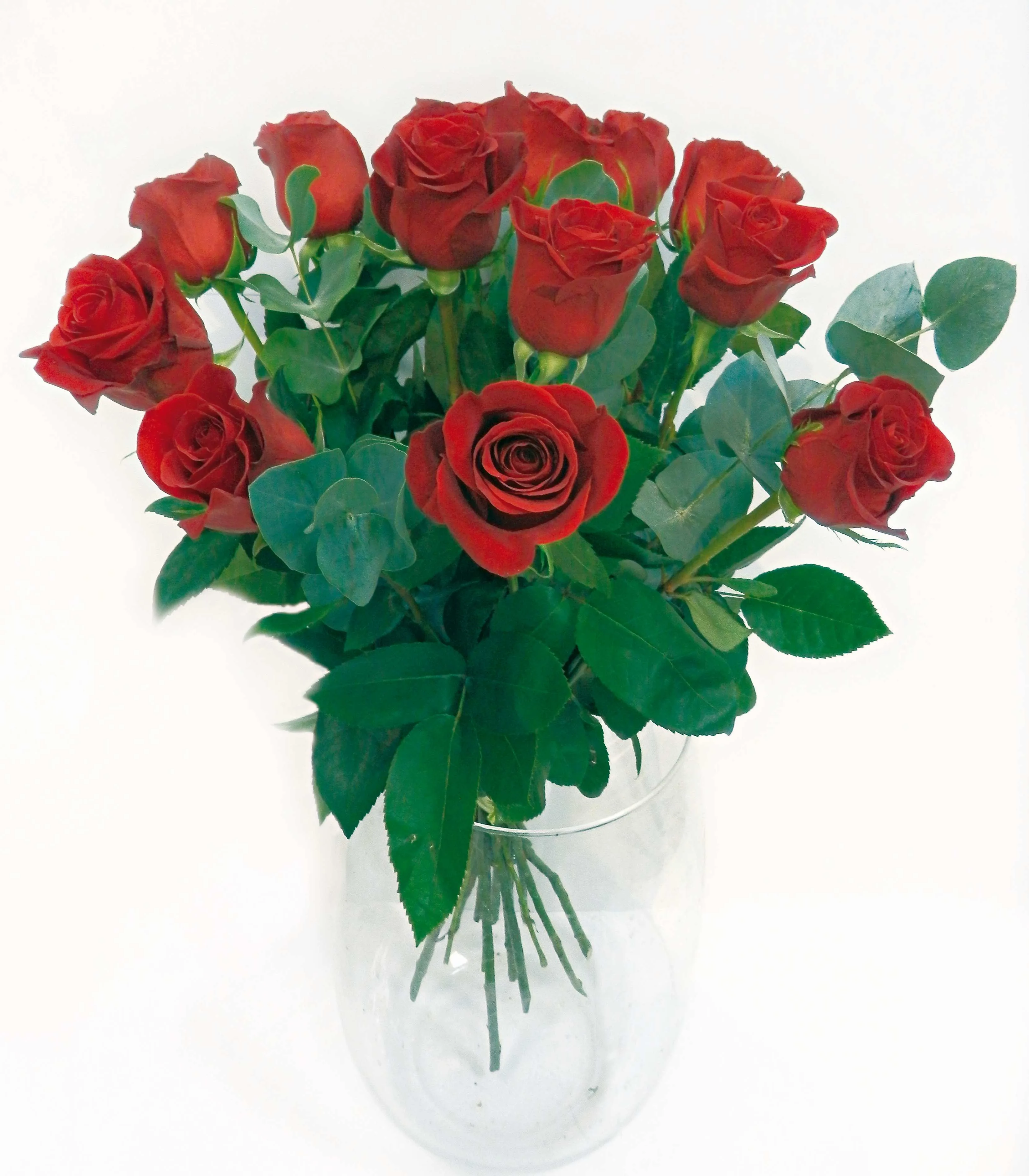 Kytice Dárkové růže Freedom – Květiny U Berušky, květinářství Žižkov Praha